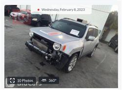 جيب رينيجيد